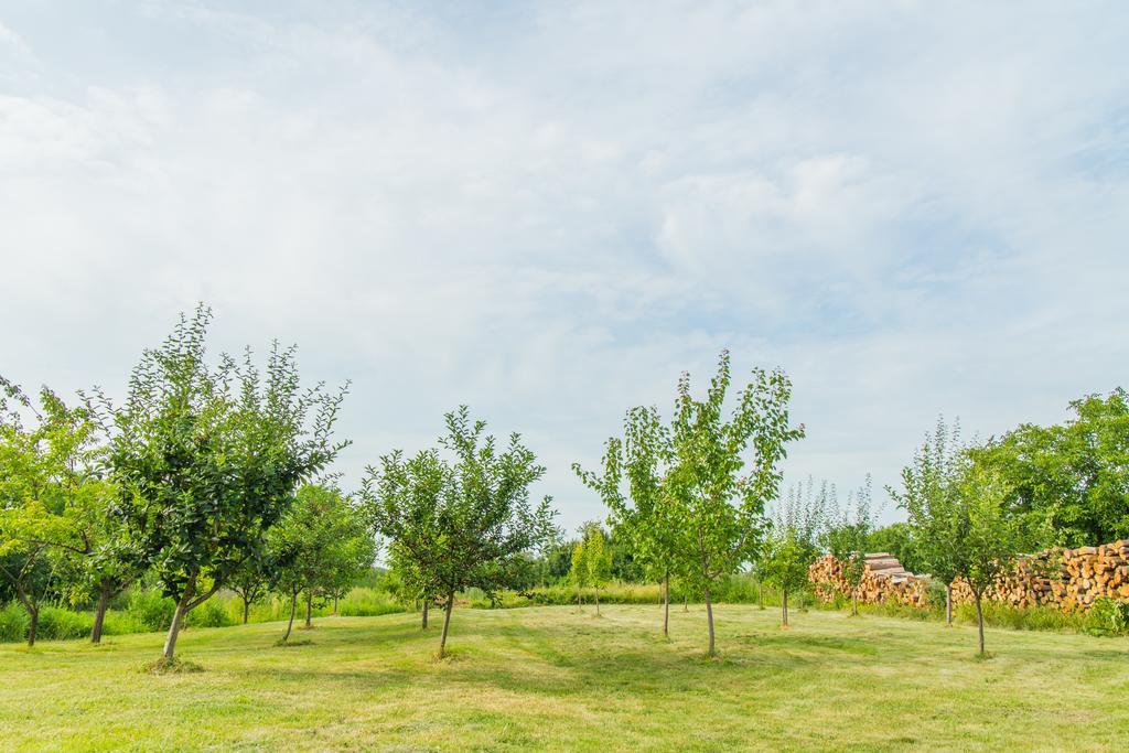 Garden Holiday Home Drenje  Eksteriør billede